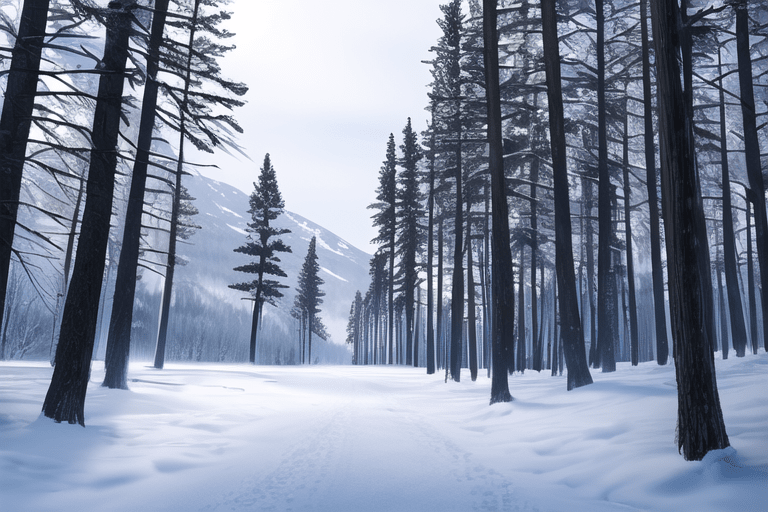 109623265_p6.png